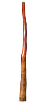 Tristan O'Meara Didgeridoo (TM454)